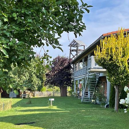 Pension Mochow Schwielochsee Esterno foto