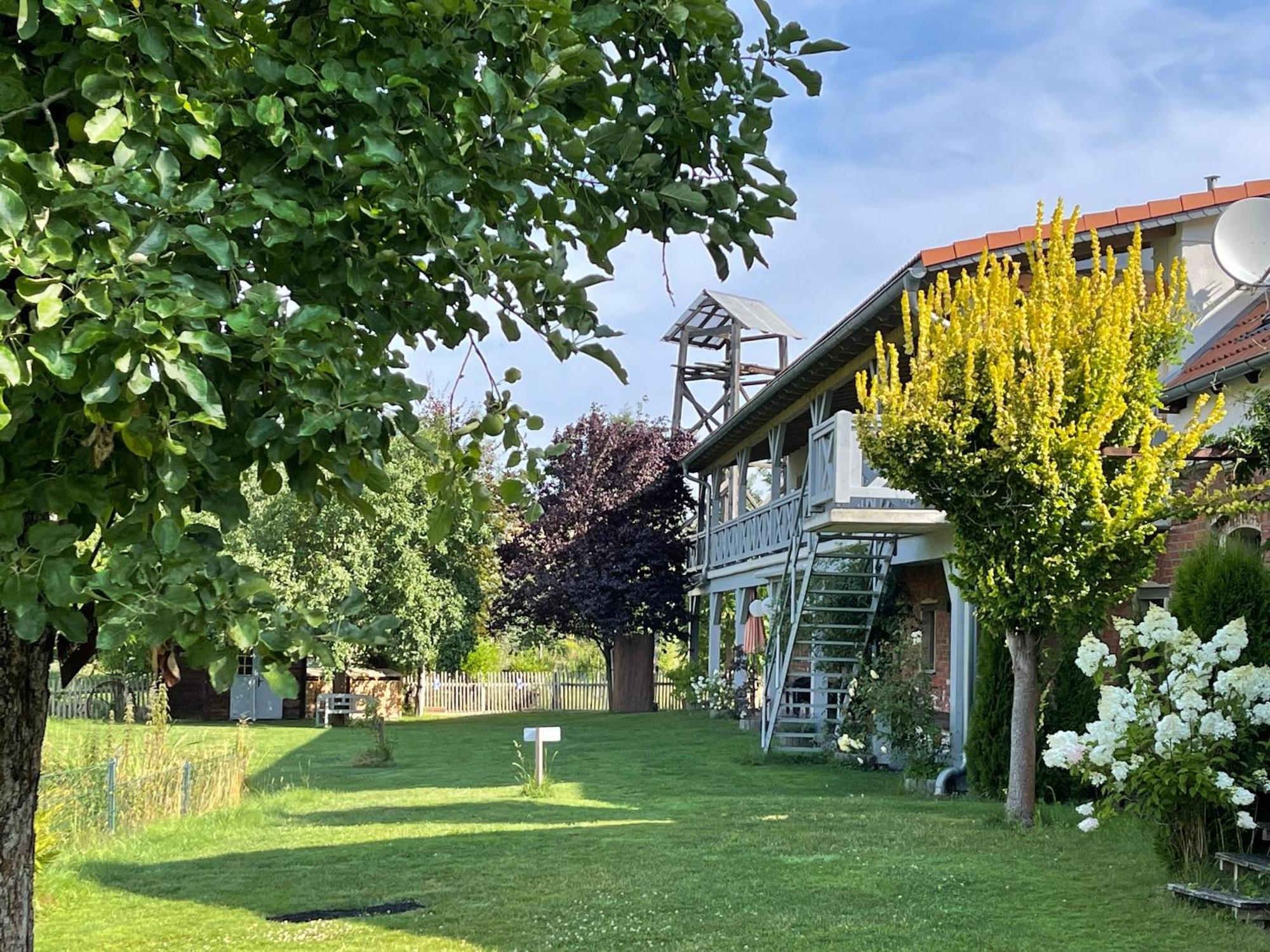 Pension Mochow Schwielochsee Esterno foto